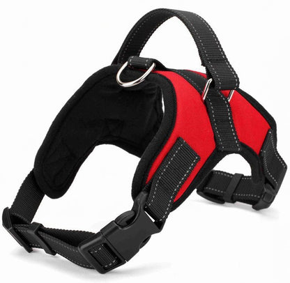 Explosion-Proof Pet Chest Harness