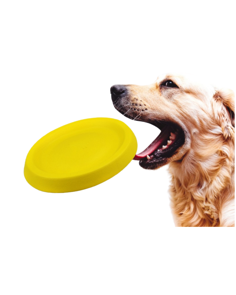 Pet Dogs Throwing Plastic Toys